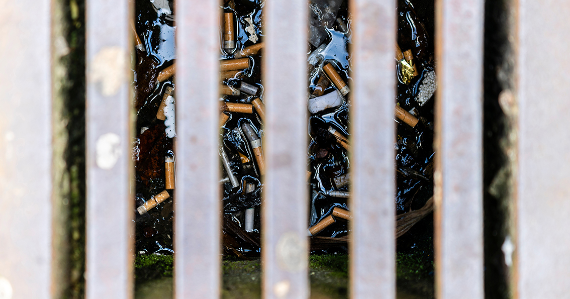 Accumulation de mégots de cigarette dans une grille d’évacuation, illustrant leur infiltration dans l'eau de ruissellement et leur impact environnemental.