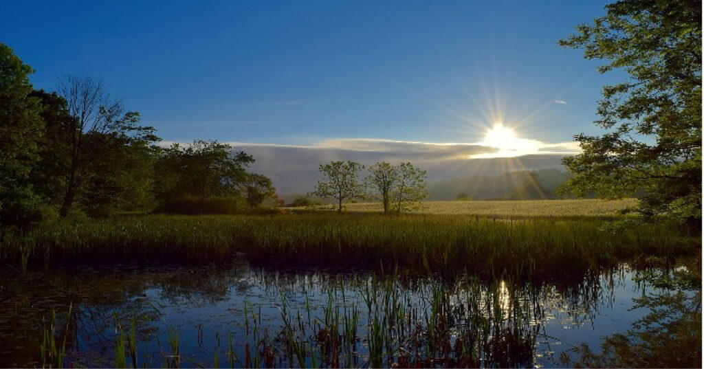 Vue aérienne d'un paysage naturel constitué de zones humides, avec des étendues d'eau entourées de végétation dense, reflétant un écosystème riche et préservé.