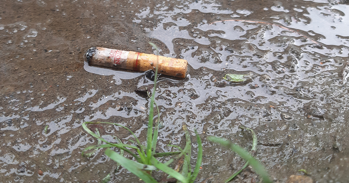 Un mégot de cigarette jeté au sol et exposé à l'eau de ruissellement, illustrant son impact potentiel sur la pollution des ressources en eau.